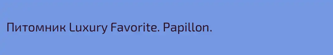 Питомник Luxury Favorite. Papillon.